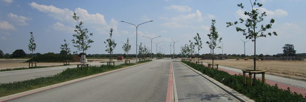 Straßenbäume